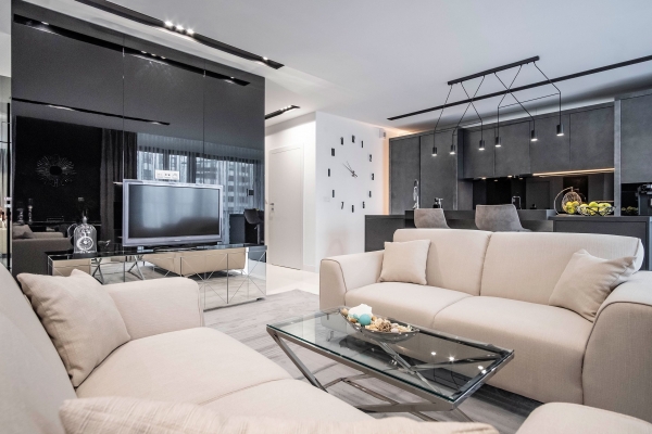 Custom Contemporary Kitchen and Living Room - Modern Custom Cabinets by ErnestRust USA